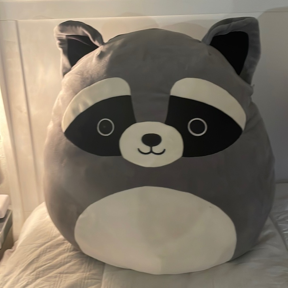COPY - Gray racoon squishmallow